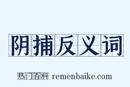 阴捕反义词是什么意思的图片